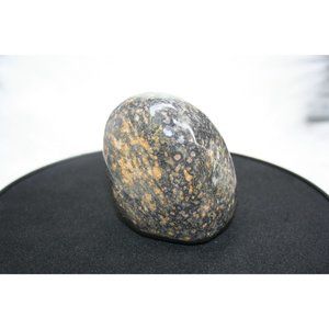Leopard Jasper Tumbled, One Leopard Jasper, Empowerment Stone, Jasper Stone, Jas